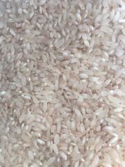 Yazar Kırmızı Çizgili Pirinç 1 Kg x 6 Paket (Ata Tohumu)