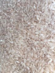 Yazar Kırmızı Çizgili Pirinç 1 Kg x 6 Paket (Ata Tohumu)