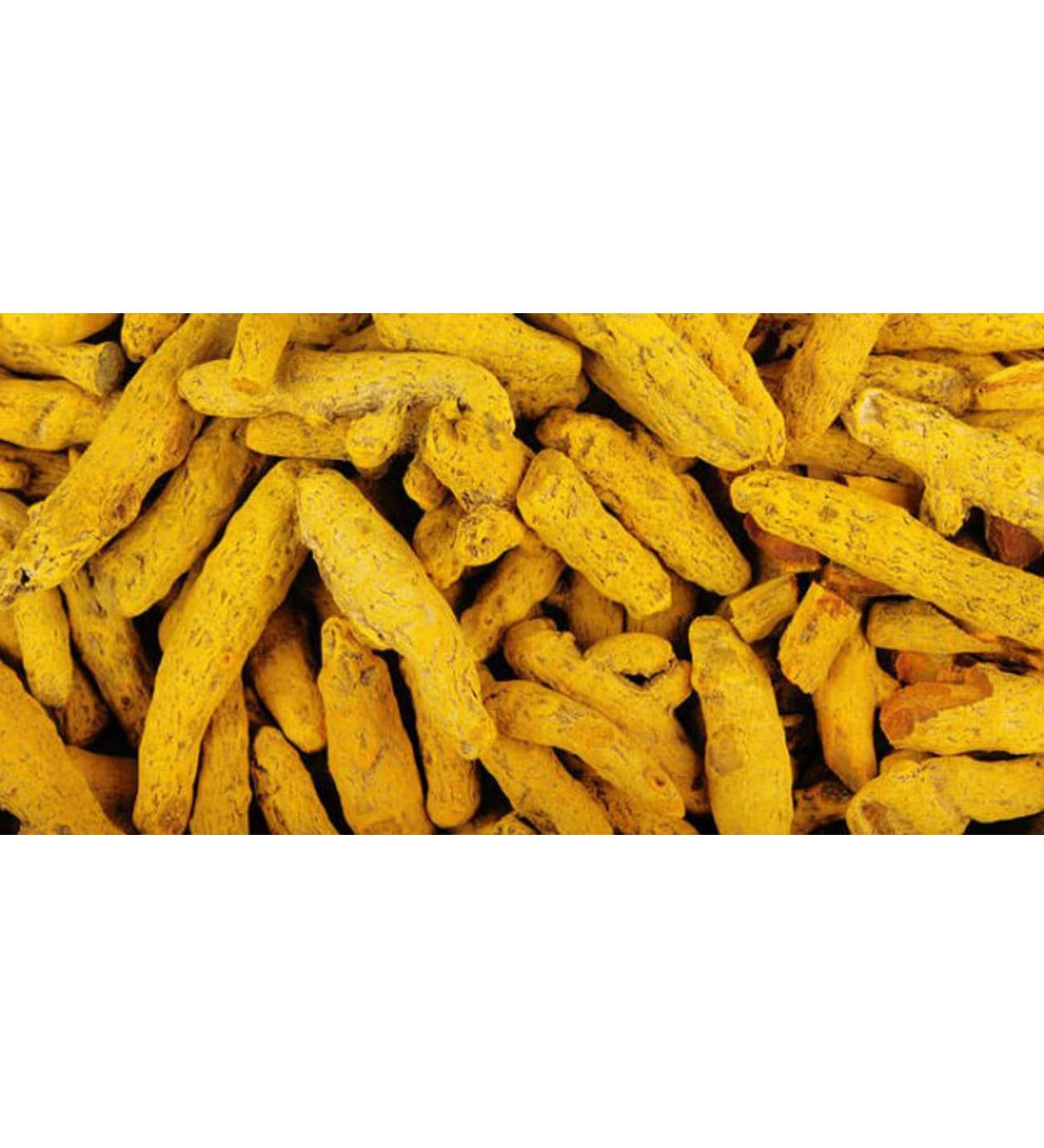 Yazar Baharat Zerdeçal 1 Kg (Tane)