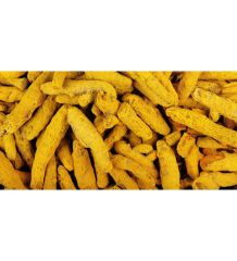 Yazar Baharat Zerdeçal 1 Kg (Tane)